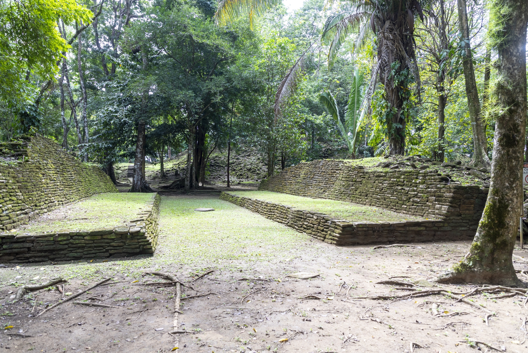 Nim Li Punit Mayan Ruins, Toledo District, Belize